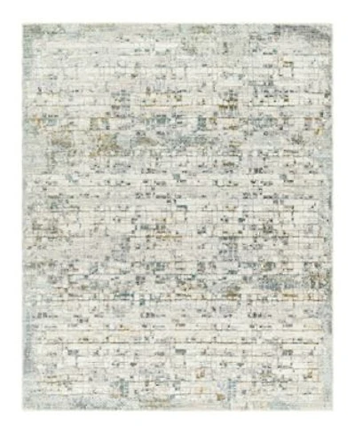 Livabliss Dresden Dre 2304 Area Rug