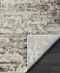 Lr Home Bienne BIENA286 5' x 7'11" Area Rug