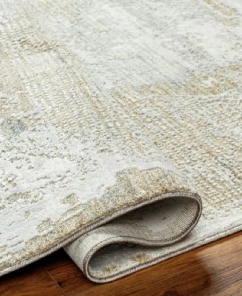 Livabliss Brunswick Bwk 2329 Area Rug