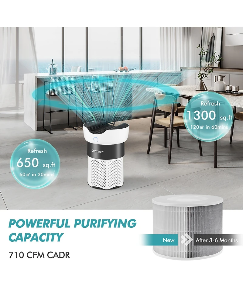 Air Purifier Replacement Filter 3-in-1 H13 True Hepa for Dust Smoke Home Office