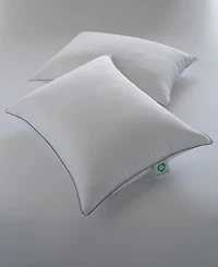 Ella Jayne MicronOne Allergen-Free Down Alternative Medium Density 2-Pack Pillow