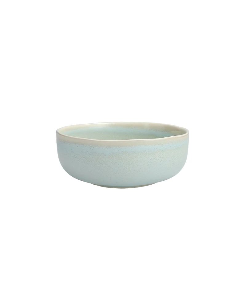 Fortessa Cloud Terre No. 3 Soup Bowls, Set of 4