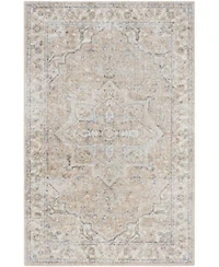 Nourison Home Astra Machine Washable Asw12 Area Rug