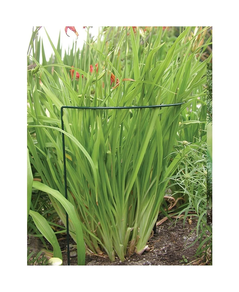 Luster Leaf Inc Luster Leaf 1030 Link-Ups Plant Support, Green Vinyl, 8 x 22-In.