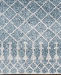 Nourison Home Astra Machine Washable ASW10 2'2" x 8' Runner Area Rug