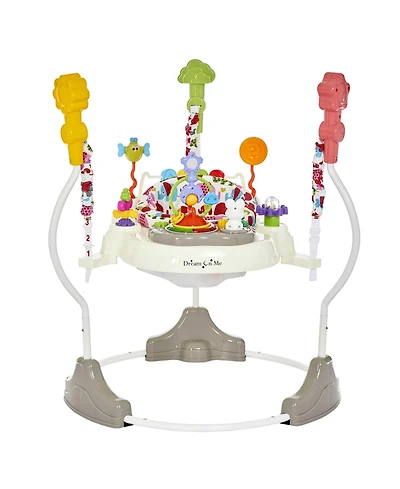 Dream On Me Zany 2-In-1 Activity And Center Bouncer