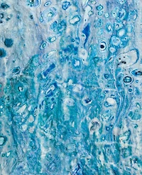 Dalyn Kikiamo KK18 3' x 5' Area Rug