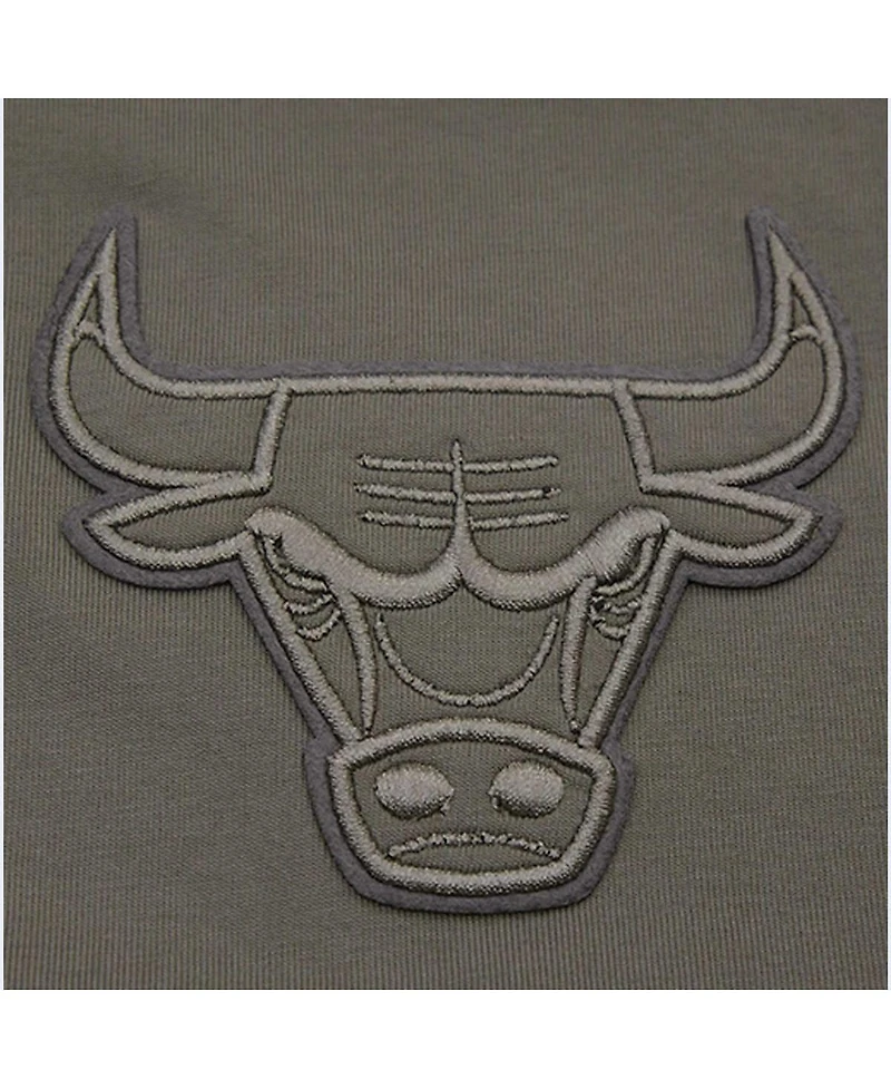Men's Pro Standard Gray Chicago Bulls Neutrals Short Sleeve Pullover Hoodie