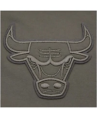 Men's Pro Standard Gray Chicago Bulls Neutrals Short Sleeve Pullover Hoodie