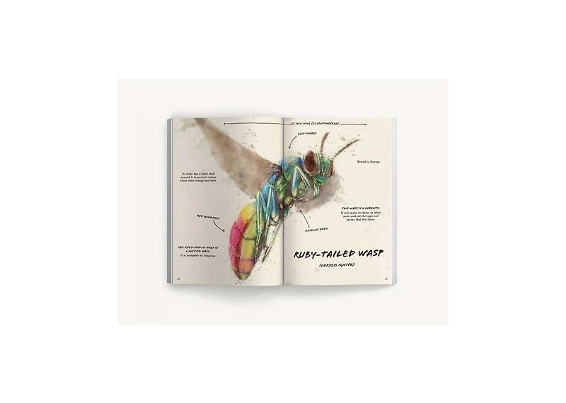 The Ultimate Bug Field Guide- The Entomologist's Handbook Bugs, Observations, Science, Nature, Field Guide by Julius Csotonyi Illustrator