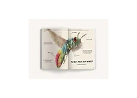 The Ultimate Bug Field Guide- The Entomologist's Handbook Bugs, Observations, Science, Nature, Field Guide by Julius Csotonyi Illustrator