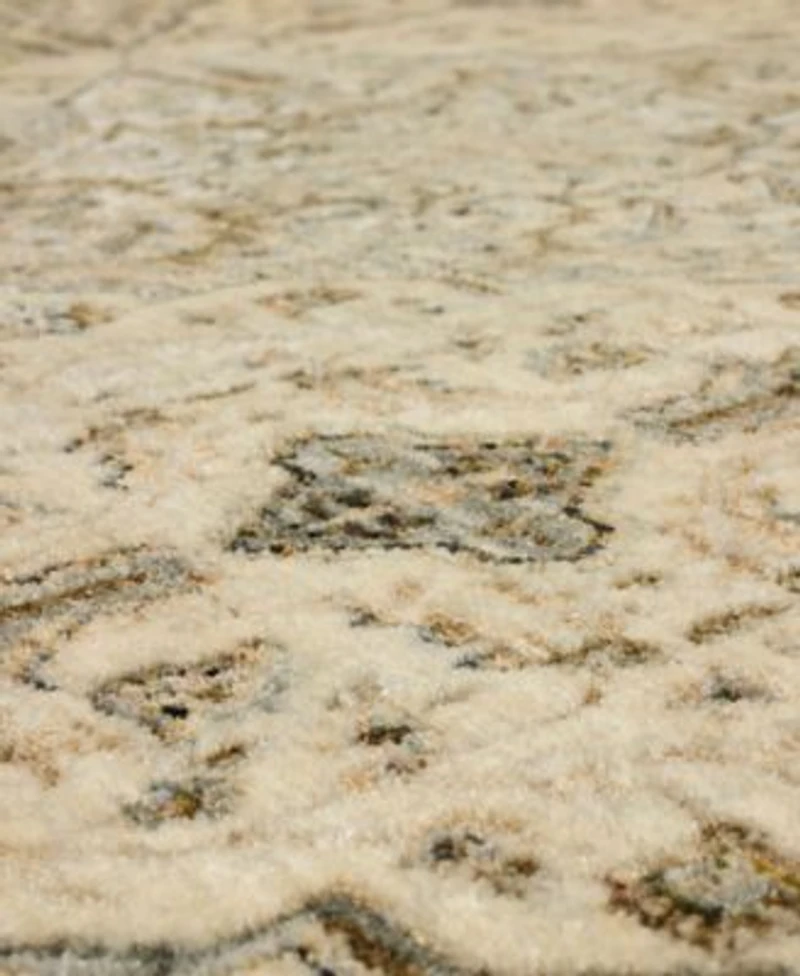 Karastan Divina Gloriana Area Rug
