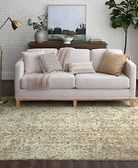 Karastan Divina Sanctum Area Rug