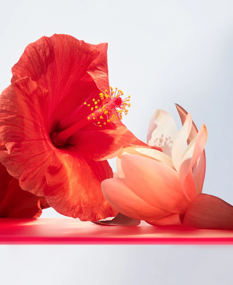 Bvlgari Omnia Coral Eau de Toilette, 3.4 oz., Created for Macy's