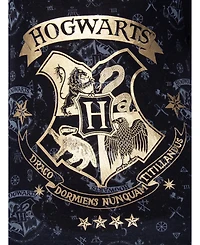 Harry Potter Girls Hogwarts Castle Gold Foil Nightgown Pajama