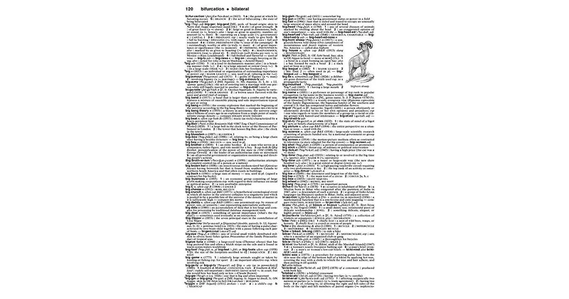 Merriam-Webster's Collegiate Dictionary by Merriam-Webster