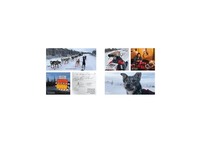 Dogwinks- True Godwink Stories of Dogs and the Blessings They Bring by SQuire Rushnell
