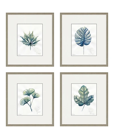 Plant Drawings Framed Art, Set of 4