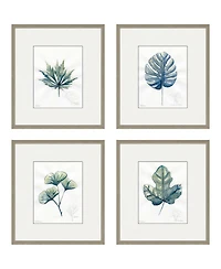 Plant Drawings Framed Art, Set of 4