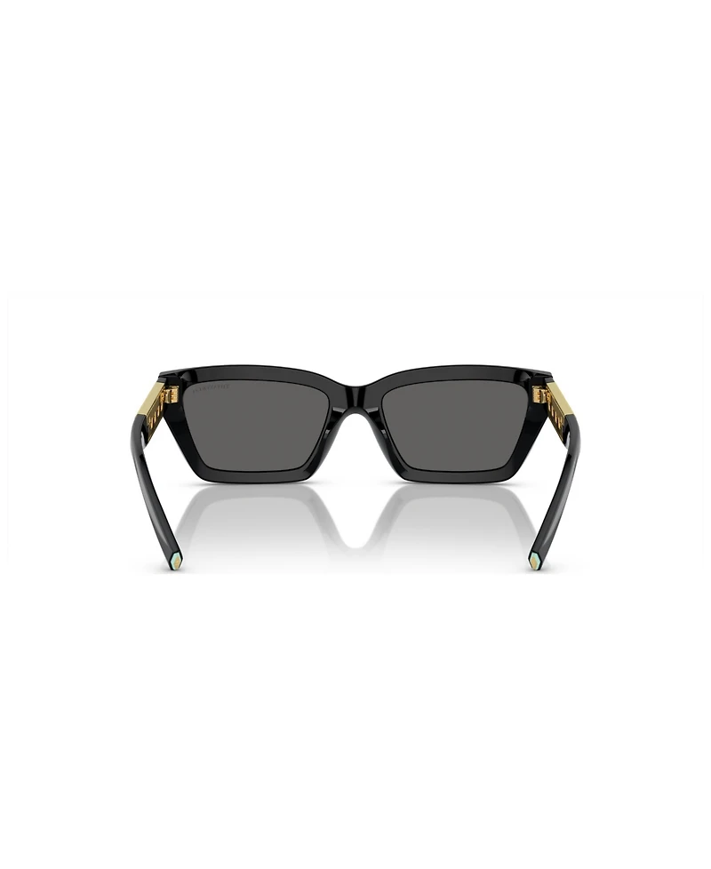 Tiffany & Co. Women's Sunglasses TF4213