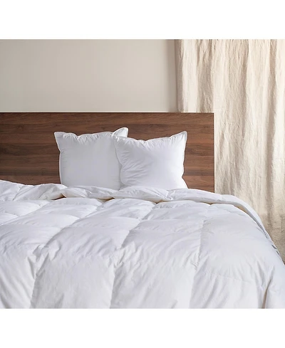 2 Pack - 18" x 18" Down Alternative Throw Pillow Insert