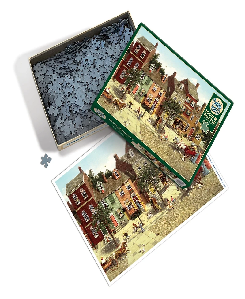 Cobble Hill- the Curve in the Square Puzzle