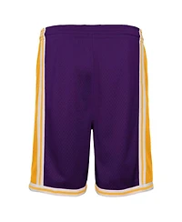 Big Boys Mitchell & Ness Purple Los Angeles Lakers Hardwood Classics Swingman Shorts
