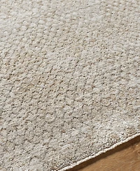 Livabliss Masterpiece High-Low Mpc-2302 5' x 7'5" Area Rug