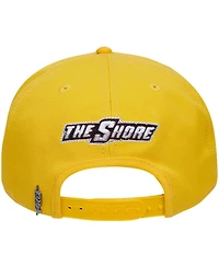 Men's Pro Standard Gold Maryland Eastern Shore Hawks Evergreen Hawks Snapback Hat
