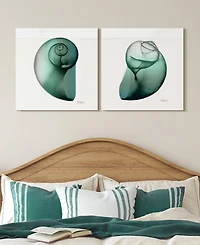 Empire Art Direct Shimmering Snail I Ii Frameless Free Floating Tempered Glass Panel Graphic Wall Art, 24" x 24" x 0.2" Each