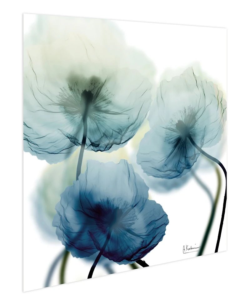 Empire Art Direct "Unfocused Beuaty 1" Frameless Free Floating Tempered Glass Panel Graphic Wall Art, 24" x 24" x 0.2"