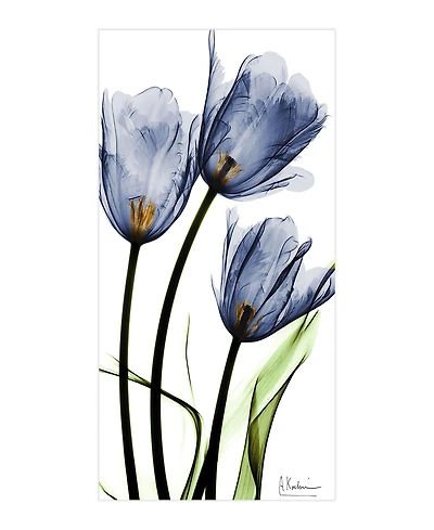Empire Art Direct "Three Blue TuLIps" Frameless Free Floating Tempered Glass Panel Graphic Wall Art, 48" x 24" x 0.2"