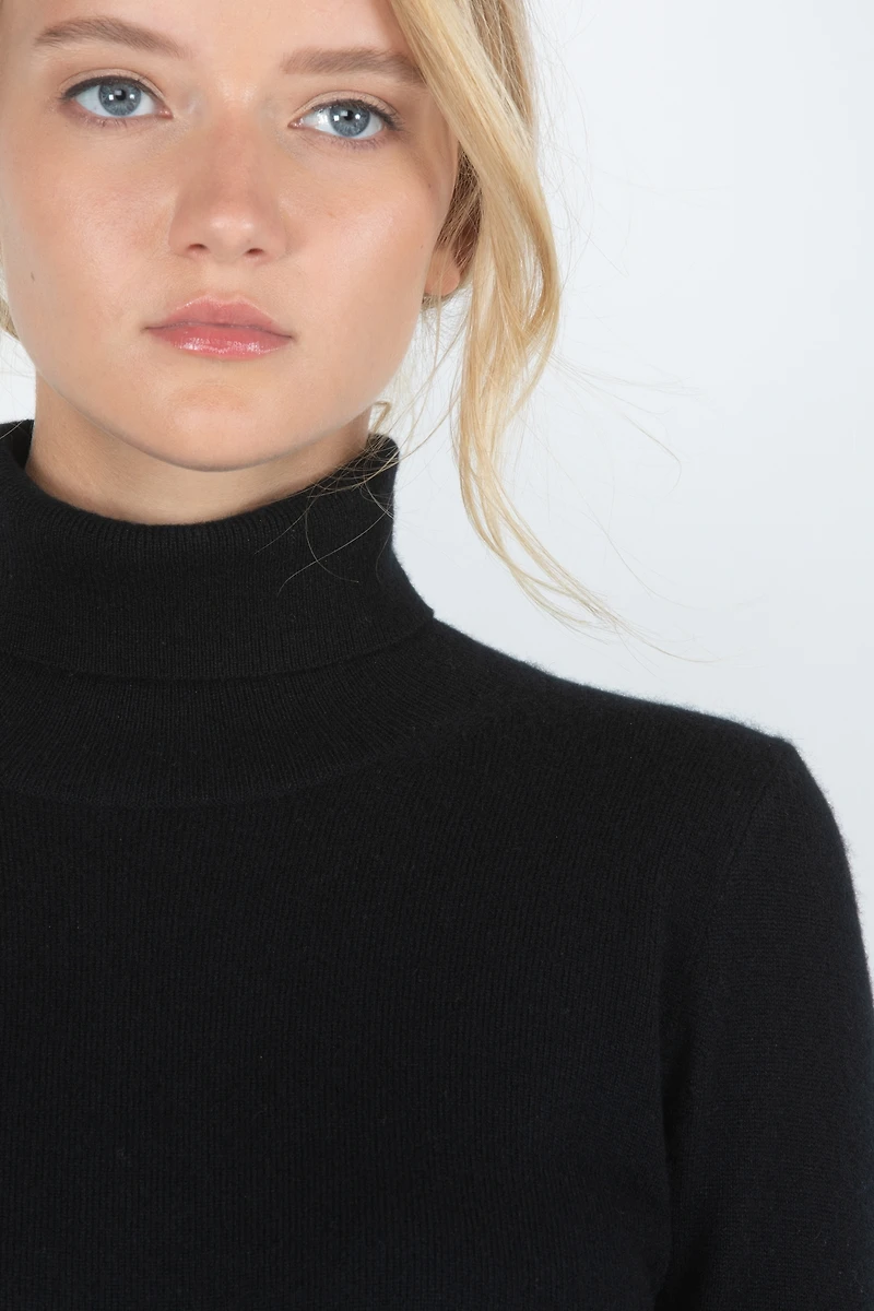 Jennie Liu Women's 100% Pure Cashmere Long Sleeve Turtleneck Pullover Sweater