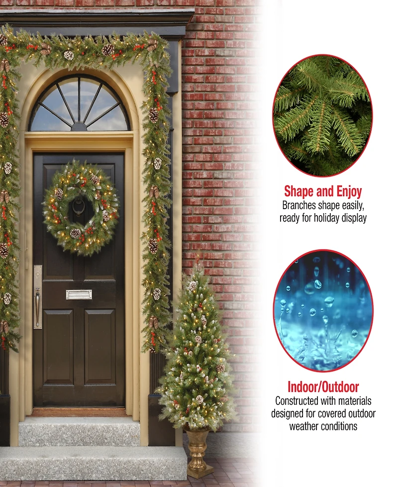 National Tree Company Frosted Berry Assortment- 2x 4' Entrance Trees with Clear Lights + 24" Wreath with Warm White Battery Operated Lights w/Timer +