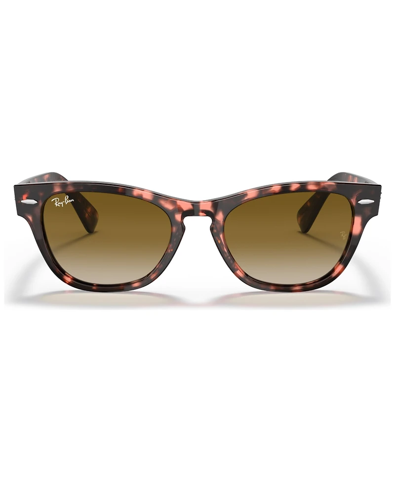 Ray-Ban Unisex Laramie Sunglasses, Gradient RB2201