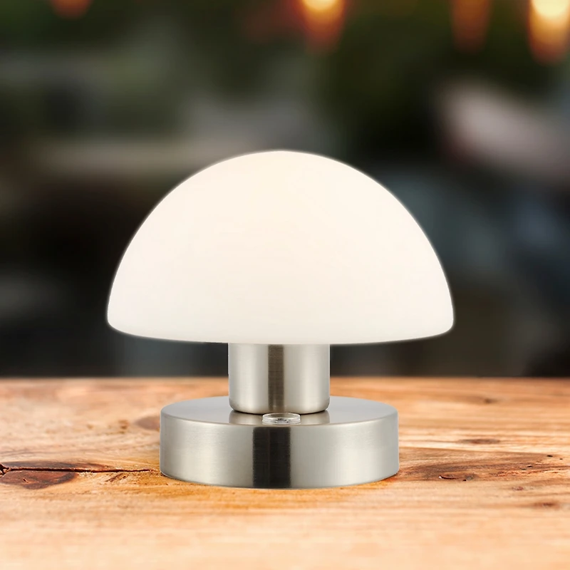 Zoe Bohemian Farmhouse Iron Rechargeable Integrated Led Table Lamp