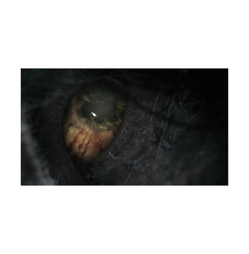 Bloodborne Game of the Year Edition (Pegi)