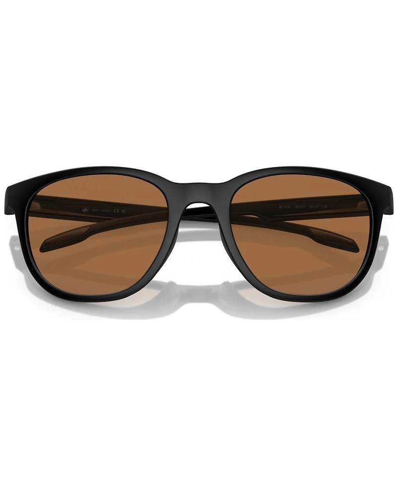 Native Men's Targhee Polarized Sunglasses