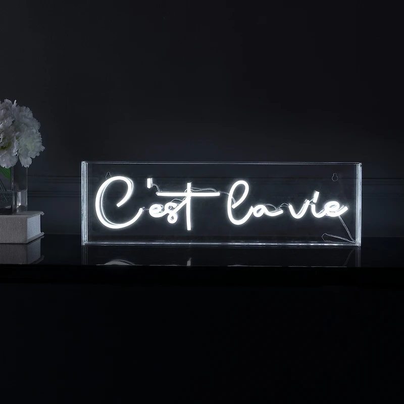 Jonathan Y Cest La Vie Contemporary Glam Acrylic Box Usb Operated Led Neon Light