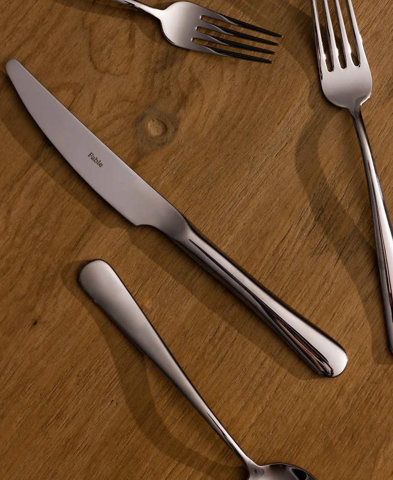 Fable 20 Pc. Flatware Set, Service for 4