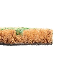 Storm Stopper All Weather Natural Coir 18" x 28" Doormat