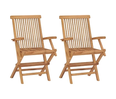 Folding Patio Chairs 2 pcs Solid Teak Wood