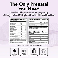 Theralogix TheraNatal Complete Prenatal Vitamin with Dha (13 Week Supply)