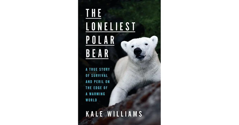The Loneliest Polar Bear
