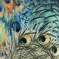 Springcrest Peacock Print Medium Drum Lamp Shade 14" Top x 16" Bottom x 11" Slant (Spider) Replacement with Harp and Finial