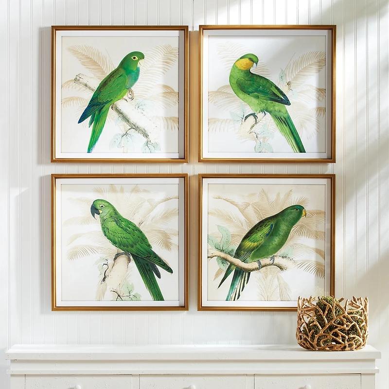 Green Parrots Study Set of 4 Wall Art