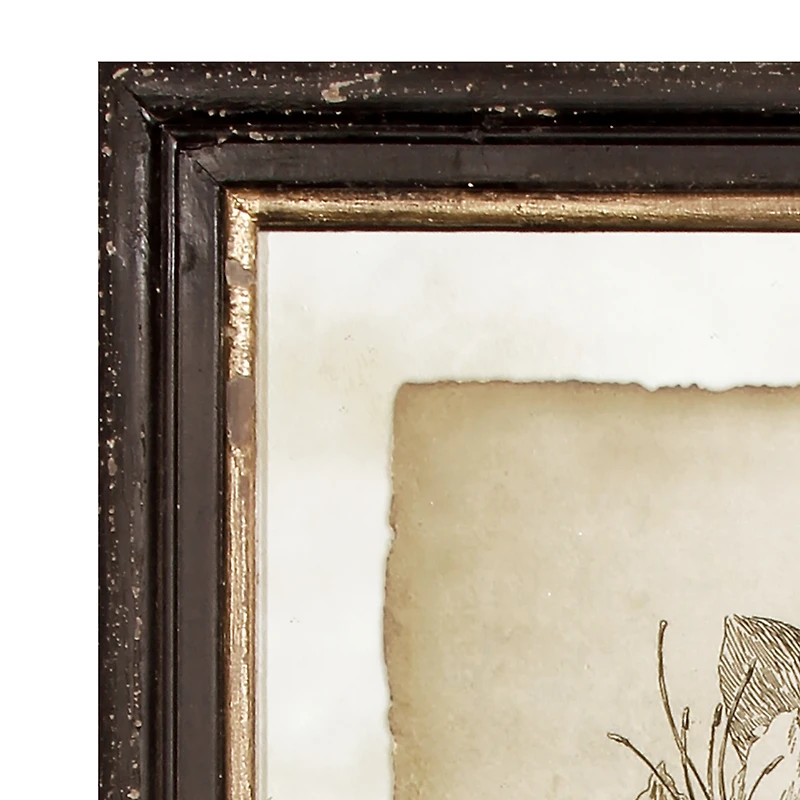 Framed Vintage like Floral Prints Set of 6