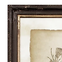 Framed Vintage like Floral Prints Set of 6