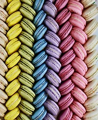 Savor Patisserie The Rainbow Box French Macarons, 10 Count Box