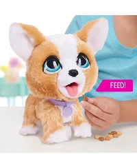 FurReal Friends Poop-a-Lots Corgi Interactive Toy, 8" Walking Plush Puppy with Sounds, 4-Pieces